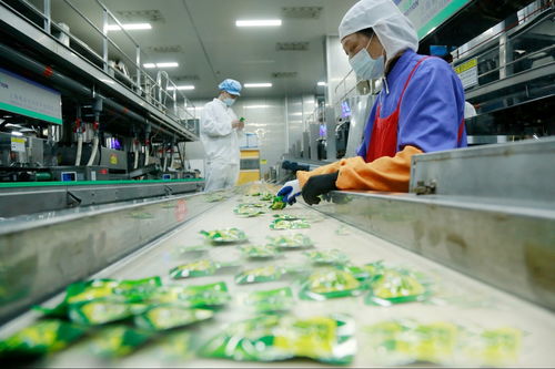 天門工業(yè)企業(yè)奮戰(zhàn)新春“開門紅” 一線見(jiàn)聞