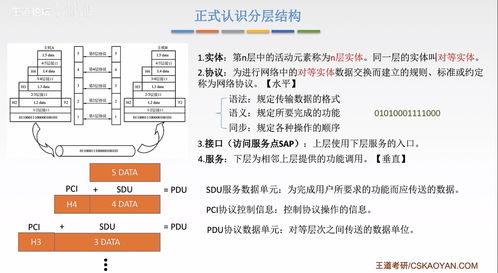 計(jì)算機(jī)網(wǎng)絡(luò) 2 標(biāo)準(zhǔn)化工作 性能指標(biāo) 分層結(jié)構(gòu)